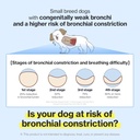 Doctor By Breath Bronchial Supplements for Dogs - Dog Cough Relief - for Dry, Wet & Barkly Pet Cough (8.5 Ounce (Pack of 1)) 6