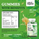 Wild & Organic Irish Sea Moss Gummies 1600 mg - Complex w/Bladderwrack and Burdock Root - Sea Moss Gel Chews for Overall Support - Chondrus Crispus - 90 Vegan, Non-GMO Seamoss Gel Gummies 4