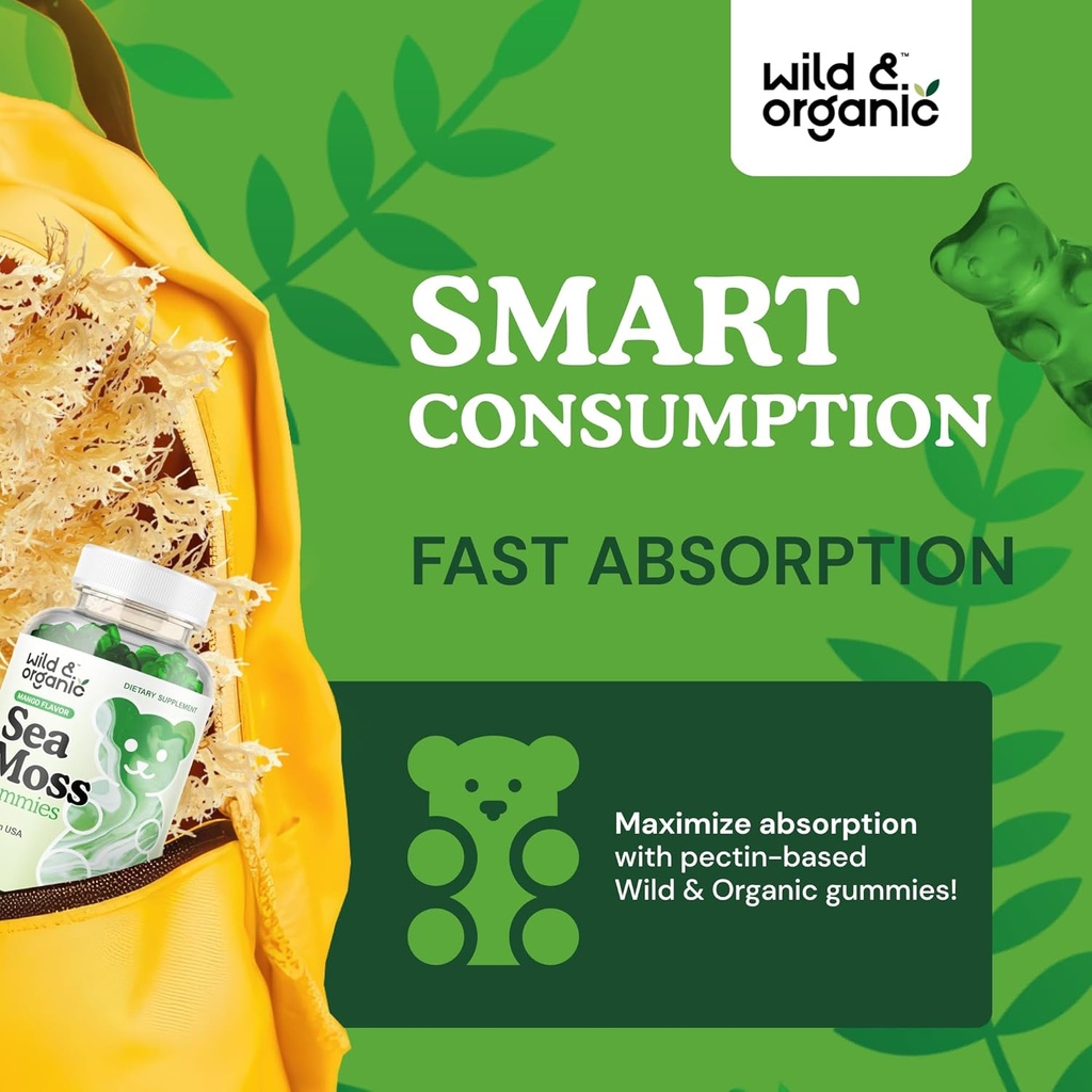 Wild & Organic Irish Sea Moss Gummies 1600 mg - Complex w/Bladderwrack and Burdock Root - Sea Moss Gel Chews for Overall Support - Chondrus Crispus - 90 Vegan, Non-GMO Seamoss Gel Gummies 5