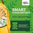 Wild & Organic Irish Sea Moss Gummies 1600 mg - Complex w/Bladderwrack and Burdock Root - Sea Moss Gel Chews for Overall Support - Chondrus Crispus - 90 Vegan, Non-GMO Seamoss Gel Gummies 5