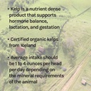New Country Organics I Organic Kelp Supplement for Cattle, Goats & Horses I Certified Organic Non-GMO, Natural Mineral Blend I Sea Kelp Powder with Essential Calcium & Phosphorus I 40 lbs 6