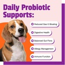 Pet Naturals Daily Probiotic for Dogs, 120M CFUs - Pre and Probiotics for Dogs Digestive Health, Gut Health, Immune Support, Diarrhea, Allergies and Itching - 60 Chews, Duck Flavor 5