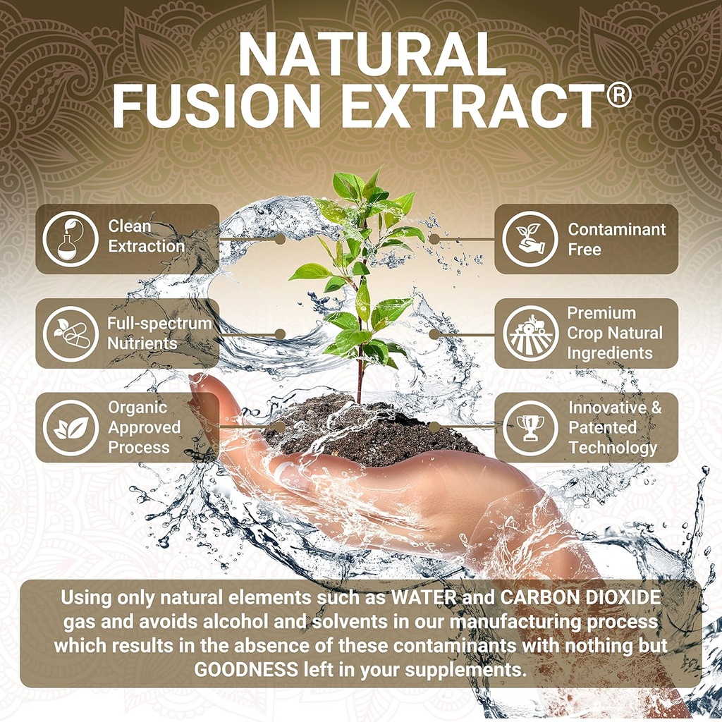 Organic Turmeric Curcumin Capsules - Includes Organic Ginger and Black Pepper Extracts | Certified Organic by USDA | 100% Natural Herbal Supplement | 60 Pills 4