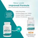 Reignite Wellness by JJ Virgin | Magnesium Body Calm | Chelated Magnesium Supplement for Energy Production, Sense of Calm & Immune Support | Magnesium Bisglycinate Chelate Complex | 120 Capsules 4