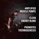 Jacked Factory NITROSURGE Shred Pre Workout Supplement (Orange Pineapple, 30 Servings) & Creatine Monohydrate Powder (Unflavored, 30 Servings) 3