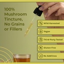 Naturealm Reishi Mushroom Liquid Tincture Supplement – Promotes Calmness, Immune Support & Sleep Aid, Vegan, Non-GMO – Organic Fruiting Bodies, 1 Month Supply 6