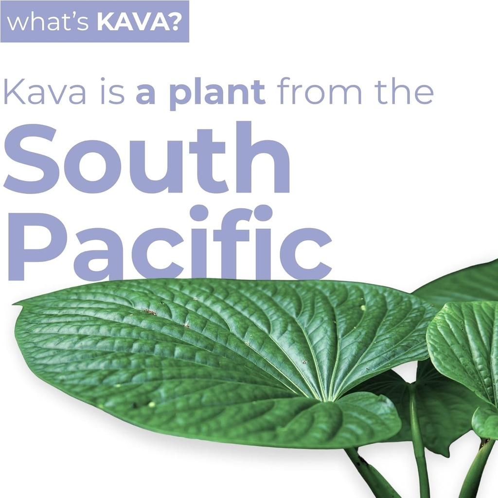 LEILO | Kava Powered Sparkling Relaxation Drink | BlackBerry Orange 12-Pack – Non-ALC Calming Beverage | 12 fl oz Cans (Pack of 12) 4