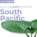 LEILO | Kava Powered Sparkling Relaxation Drink | BlackBerry Orange 12-Pack – Non-ALC Calming Beverage | 12 fl oz Cans (Pack of 12) 4