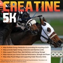 Creatine 5K - Energy Muscle Support Recovery Power Strength Endurance Stamina Supplements for Horses 2 lb (36 Servings) 3
