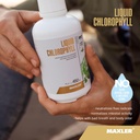 Maxler Chlorophyll Liquid Natural Flavor - Internal Deodorant for Body Odor & Bad Breath Supplement - Vegan Liquid Chlorophyll - 132 mg of Chlorophyllin per 1 Serving (15 Servings) - 15.2 fl oz 4
