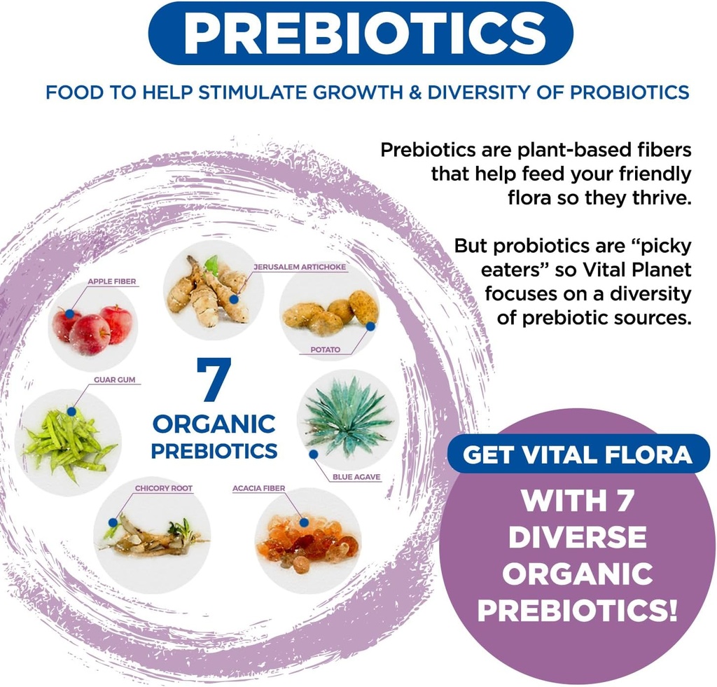 Vital Planet - Vital Flora Women’s Daily Probiotic 60 Billion CFU, 60 Diverse Strains, 7 Organic Prebiotics, Vaginal and Immune Support, Bloating, Digestive Health Probiotics for Women 30 Capsules 6