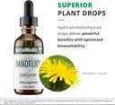 Nutramedix Dandelion Detox Support - Tincture for Liver Health + Gut Health + Antioxidant Support - Dandelion Leaf Liver Support Supplement for Daily Use (60ml) 6