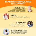 5-in-1 Ceylon Cinnamon w Apple Cider Vinegar, Turmeric, & Ginseng Root (120ct) & 6-in-1 Maca Root Ashwagandha w DHEA & Black Pepper Fruit (120ct) Bundle - Energy, Mood, & Immune Support Supplement 5