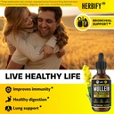 HERBIFY Bundle - Mullein Leaf Extract & Biotin and Collagen - Respiratory Support & Hair Skin and Nails Vitamins Support 4