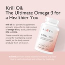 Alaya Naturals - Antarctic Krill Oil 500mg Supplement with Phospholipids, EPA/DHA Omega 3 & Astaxanthin - Non-GMO - PCB Tested Krill Oil - 60 Softgels 3