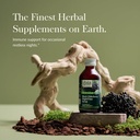 Gaia Herbs Black Elderberry, Nighttime Syrup - Immune Support Supplement - with Organic Black Elderberries, California Poppy & Lemon Balm for Restful Sleep & Immune Defense - 3 Fl Oz (18-Day Supply) 3