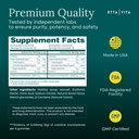 Sugar-Free Creatine Monohydrate Gummies 5gram per Serving, Potent Creatine Gummies for Men & Women, Supplement for Muscle Support, Cellular Energy & Cognitive Function, Gluten-Free 6