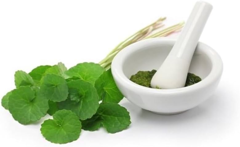 (Pack of 2) Organic Centella Asiatica Powder (50g) 2