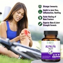 Alfalfa Medicago Sativa Tablets, 60 Tablets, Improves Respiratory Health and Bowel Movements, Boosts Immune System,Organic and Natural | Superfood Supplement | Vegan 4