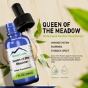 liquid-meadowsweet-extract-queen-of-the--3.jpg