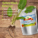 best-botanicals-yellow-dock-root-cut-16--3.jpg