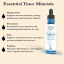 buried-treasure-fulvic-mineral-drops-295-4.jpg