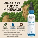 buried-treasure-fulvic-mineral-drops-295-3.jpg