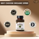 organic-spree-pure-himalayan-shilajit-re-6.jpg