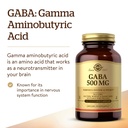 solgar-gaba-500-mg-100-vegetable-capsule-3.jpg