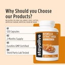 stay-alive-boswellia-serrata-extract-cap-5.jpg