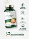 carlyle-boswellia-extract-capsules-250-c-5.jpg