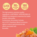 super-boswellia-serrata-with-g-fos-98-bo-5.jpg