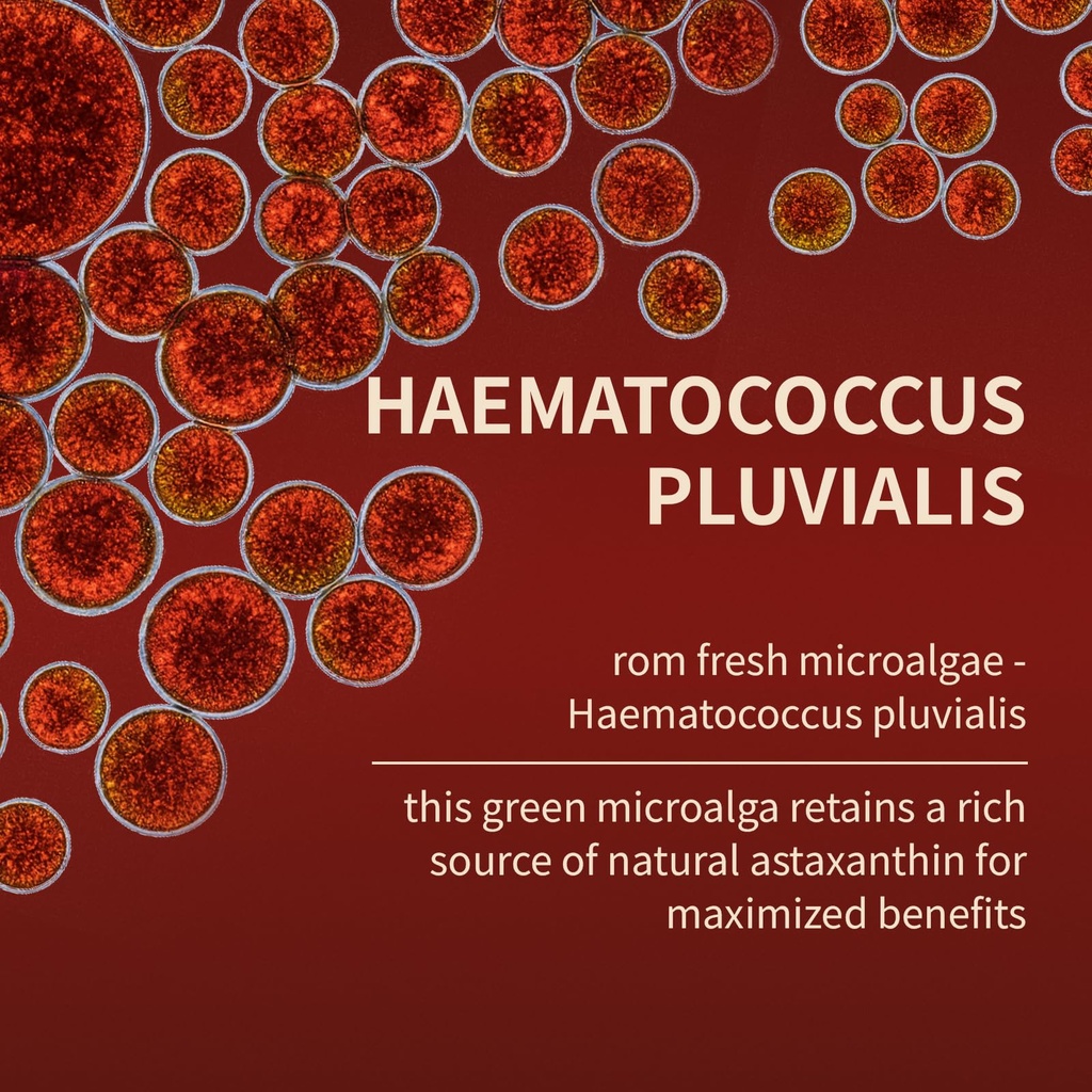 astaxanthin-12mg-triple-strength-skin-vi-5.jpg