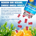 2-pack-vegan-omega-3-gummies-for-adults--4.jpg