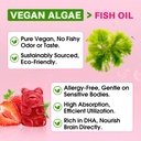 omega-3-gummies-potent-algae-omega-sourc-4.jpg