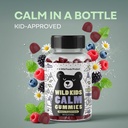 wild-foods-kids-calm-gummies-ashwagandha-2.jpg