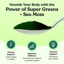 atlantic-naturals-organic-sea-moss-super-6.jpg