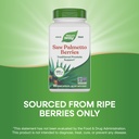 nature-s-way-saw-palmetto-berries-tradit-4.jpg