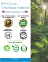 one-planet-nutrition-raw-moringa-capsule-4.jpg