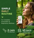 nac-supplement-for-lung-respiratory-immu-6.jpg