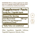 solgar-resveratrol-500-mg-30-vegetable-c-2.jpg