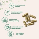 micro-ingredients-resveratrol-nad-comple-3.jpg