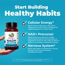 maryruth-s-nadh-capsules-niacin-nad-prec-5.jpg