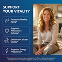liposomal-nad-resveratrol-supplement-liq-2.jpg