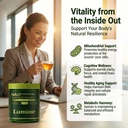 skaal-lumine-nad-supplement-with-resvera-5.jpg