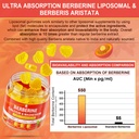 lilicare-bundle-berberine-supplement-gum-3.jpg