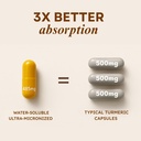 stomachbloom-turmeric-curcumin-with-ging-4.jpg