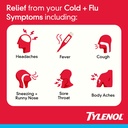 tylenol-day-night-cold-flu-multi-symptom-2.jpg