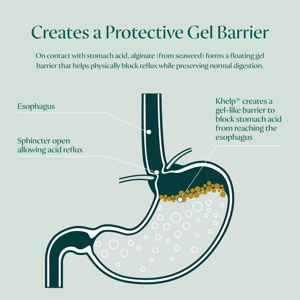 khelp-all-natural-reflux-support-premium-3.jpg