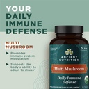 ancient-nutrition-mushroom-supplement-or-3.jpg